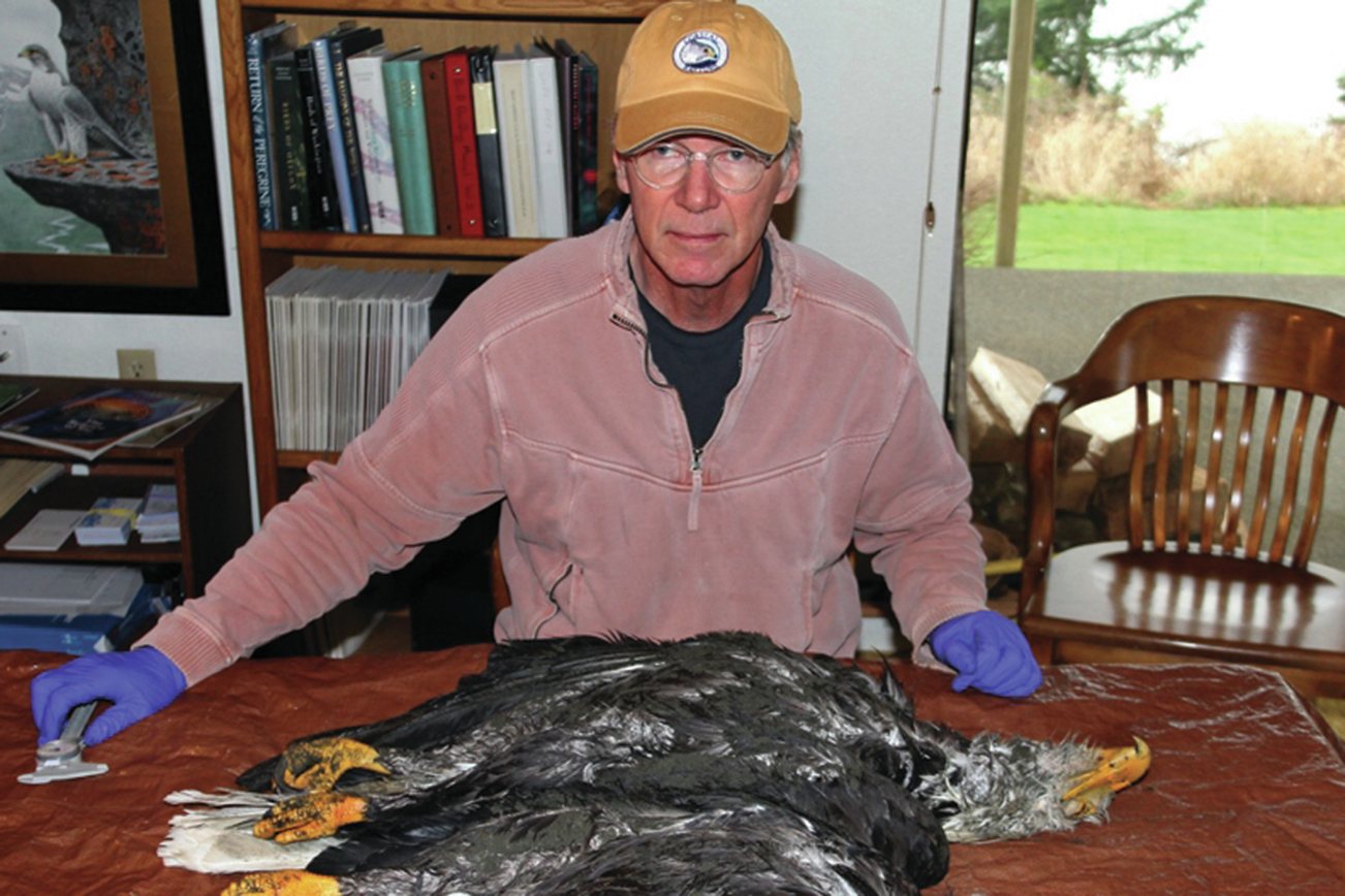 Dan Varland is execitve director of Coastal Raptors and the next guest speaker in the Glimpses Lecture Series to benefit the Coastal Interpretive Center.