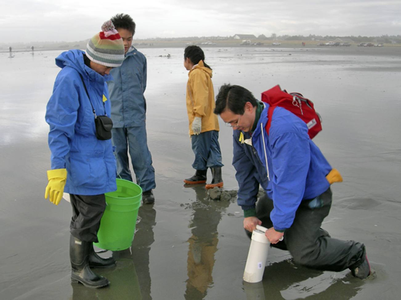 Sixday razor clam dig includes North Beach areas North Coast News