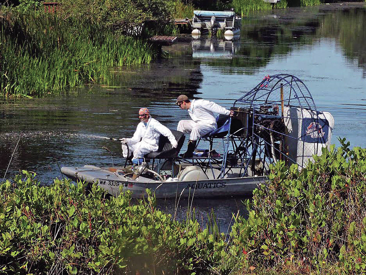 Waterway weed treatments reviewed at ‘Wine and Weeds’