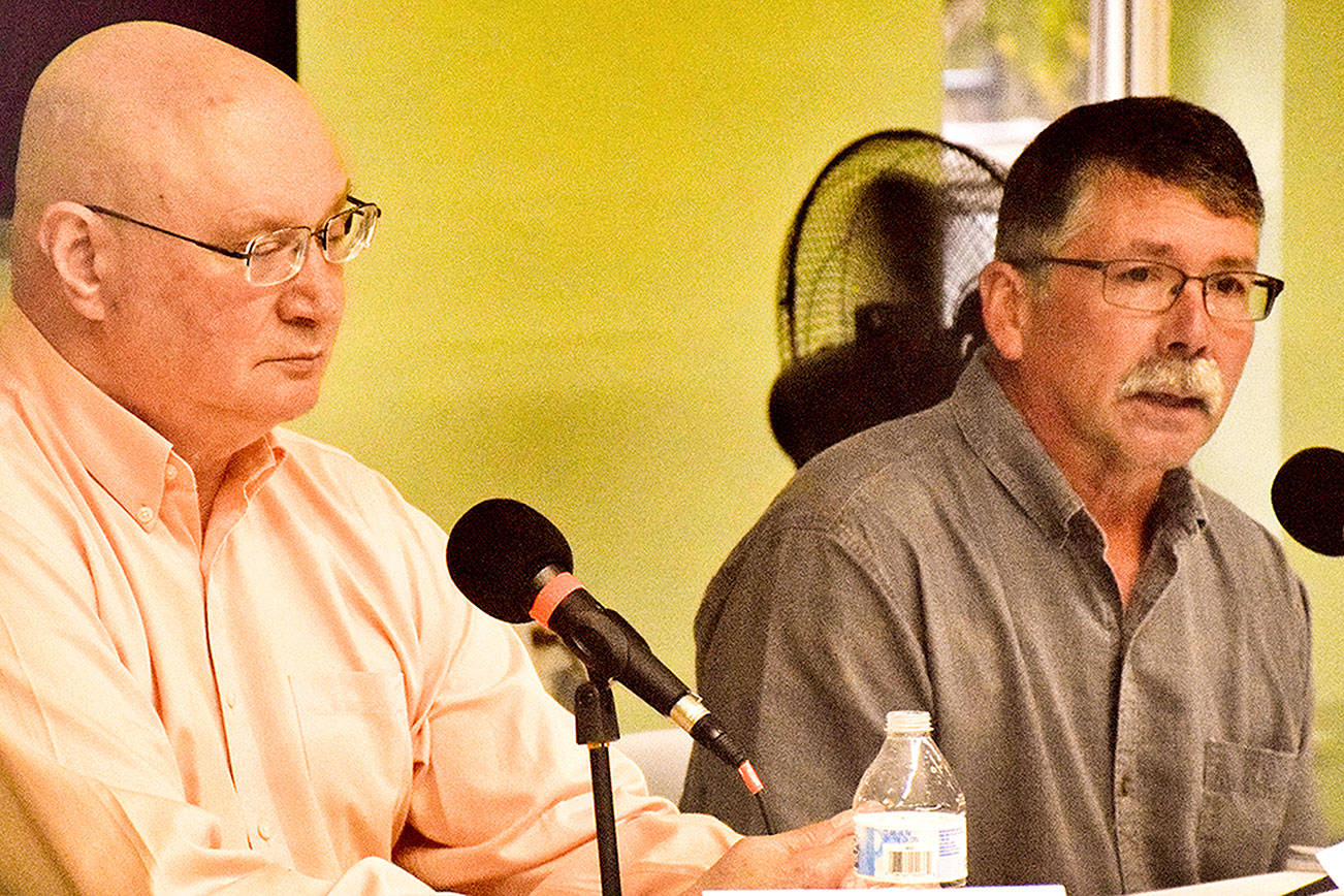 Wills, Elduen disagree in Council candidate debate